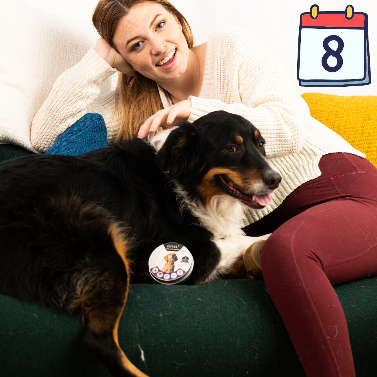 How DEWEL™ Fits Into Your Dog’s Daily Routine?