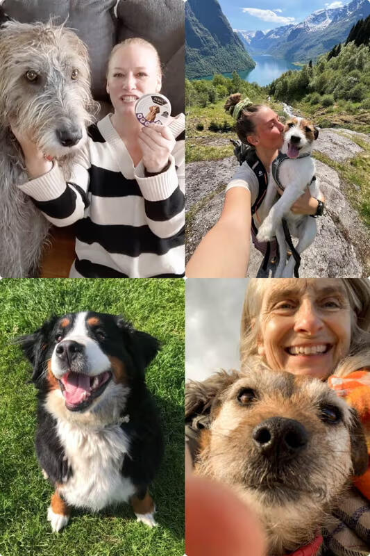 How DEWEL™ Fits Into Your Dog’s Daily Routine? How DEWEL™ Fits Into Your Dog’s Daily Routine?