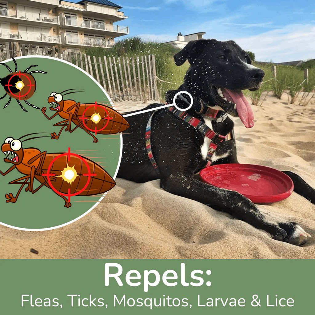 What Makes a Good Tick Repellent for Dogs?